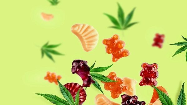 Best CBD Gummies