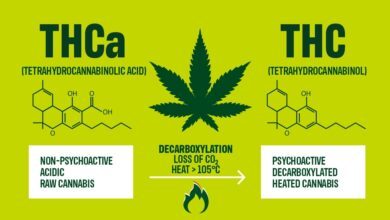 THCA and THC originate